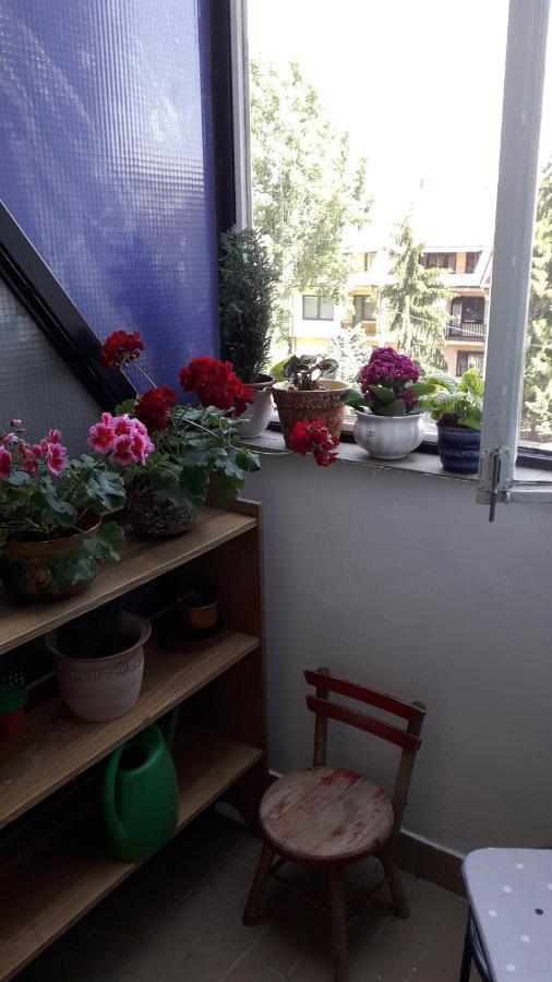 Annika Apartman Eger Ngoại thất bức ảnh